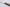 Perceval 9.47 Steak knife