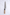 Nigara Kurozome SG2 240mm Gyuto Walnut