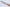 Shun Classic White - 90mm Paring Knife